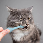Lot de 2 brosses à dents en silicone pour chats et chiens, outil de soin bucco-dentaire pour animaux de compagnie