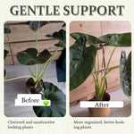 Support de Fixation des Racines de Plantes, Outils de Soin du Jardin, BJ138-001, BJ138-002
