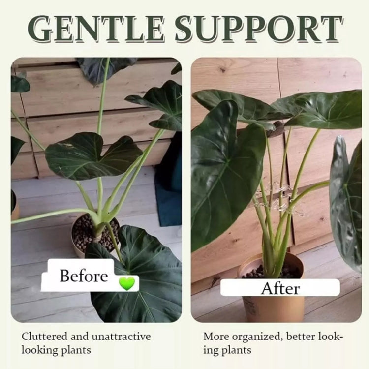 Support de Fixation des Racines de Plantes, Outils de Soin du Jardin, BJ138-001, BJ138-002