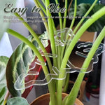 Support de Fixation des Racines de Plantes, Outils de Soin du Jardin, BJ138-001, BJ138-002