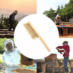 Ensemble Apiculture 4-en-1 Vêtement Anti-Abeilles + Grattoir + Brosse à Abeilles + Gants Anti-Abeilles