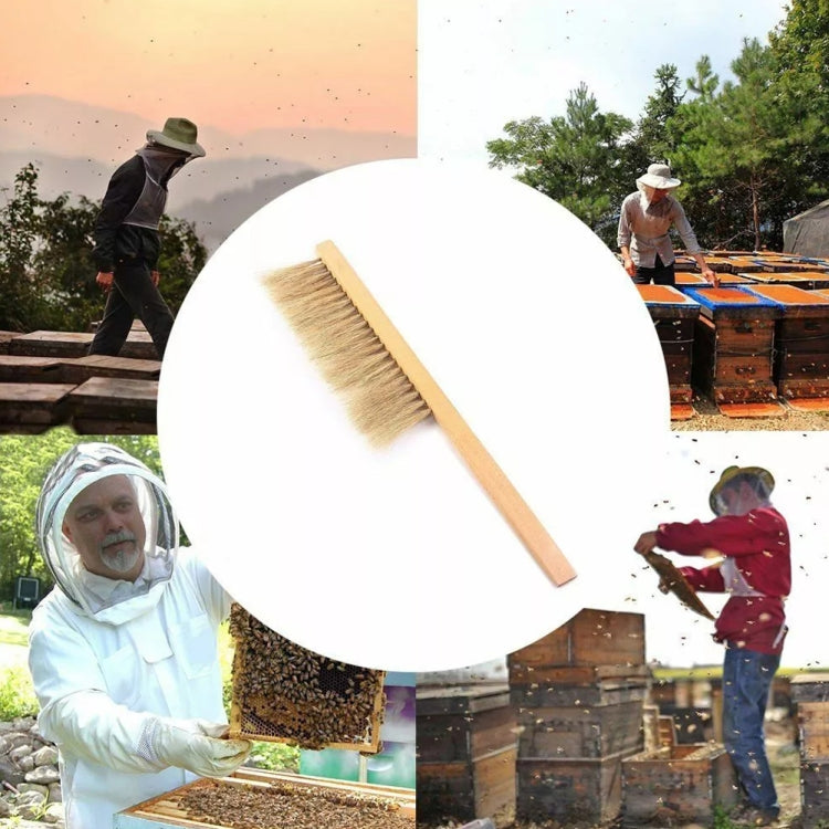 Ensemble Apiculture 4-en-1 Vêtement Anti-Abeilles + Grattoir + Brosse à Abeilles + Gants Anti-Abeilles