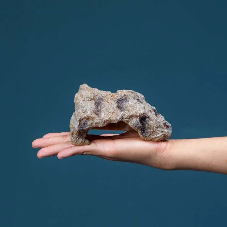 Cachette en forme de rochers simulés pour reptiles, bain de soleil tortue, S, M, L