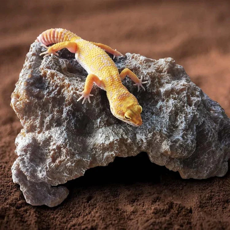 Cachette en forme de rochers simulés pour reptiles, bain de soleil tortue, S, M, L