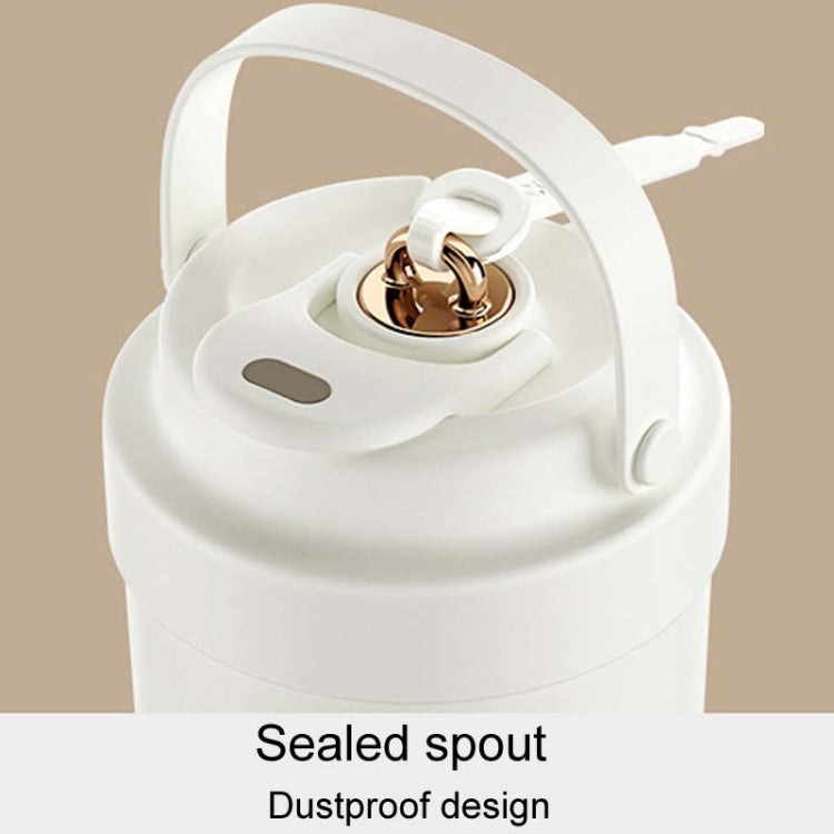 Tasse à café isotherme portable en acier inoxydable 316, double boisson, avec paille, 500 ml
