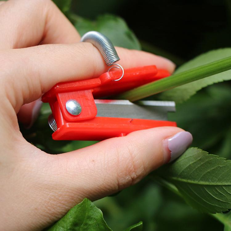 4pcs /Pack Petite Guillotine pour Récolte de Melon et Fruits, Couteau à Pincer Raisin, Cueilleur de Légumes