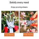 Ciseaux d'Éclaircissage Agricoles pour Fruits et Fleurs, Outils de Taille pour Jardinage à Domicile, 6608-1