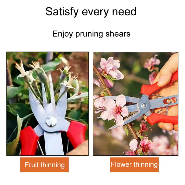 Ciseaux d'Éclaircissage Agricoles pour Fruits et Fleurs, Outils de Taille pour Jardinage à Domicile, 6608-1