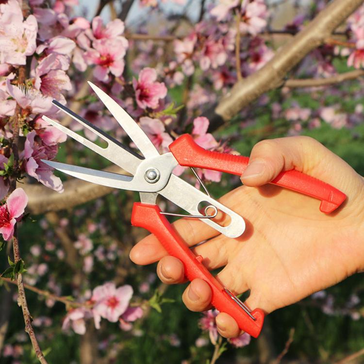 Ciseaux d'Éclaircissage Agricoles pour Fruits et Fleurs, Outils de Taille pour Jardinage à Domicile, 6608-1