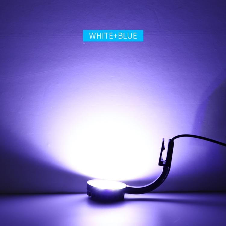 Lampe LED clip aquarium 5W bleu blanc avec 12 LEDs, mini lampe USB pour aquarium, plantes aquatiques, herbes d'eau et petits aquariums, 220V, 110V