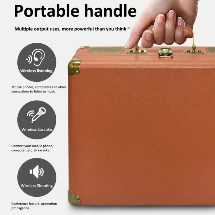 Machine karaoké SDRD boîte en bois avec double micro sans fil système tout-en-un supporte clé USB/carte TF