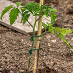 30m Garden Rope Fabric Cord Plant Support Ties