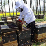 Grattoir Courbé en Acier Inoxydable pour Ruche, Outils d'Apiculture