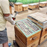 Grattoir Courbé en Acier Inoxydable pour Ruche, Outils d'Apiculture