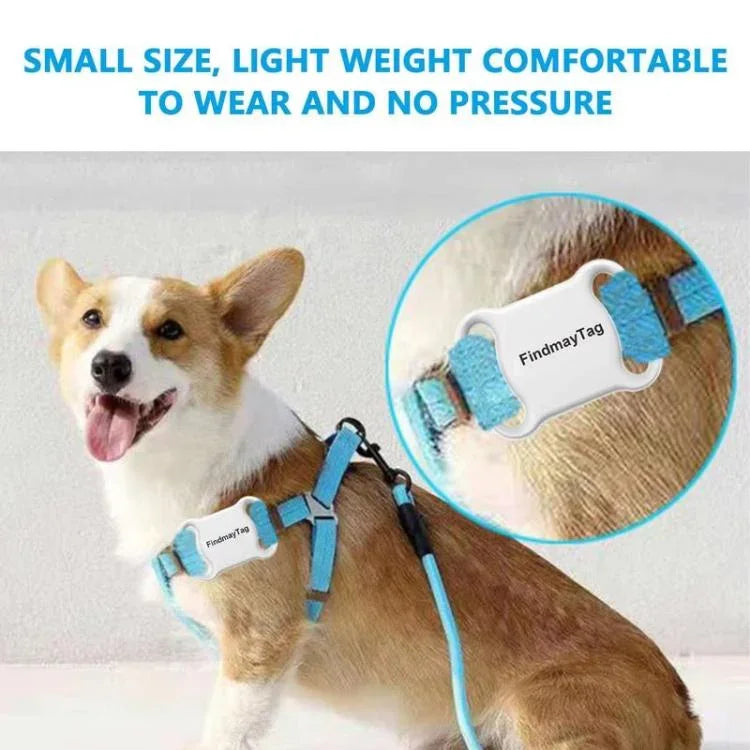 Traceur GPS pour chats et chiens, collier de suivi mondial en temps réel, anti-perte, étanche, compatible avec l'application Findmytag