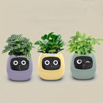 Pot de Plante Intelligent avec Multi-Capteurs, Moniteur de Plante WiFi avec Écran 2 pouces Compatible avec l'Écosystème Mi/Tuya Home