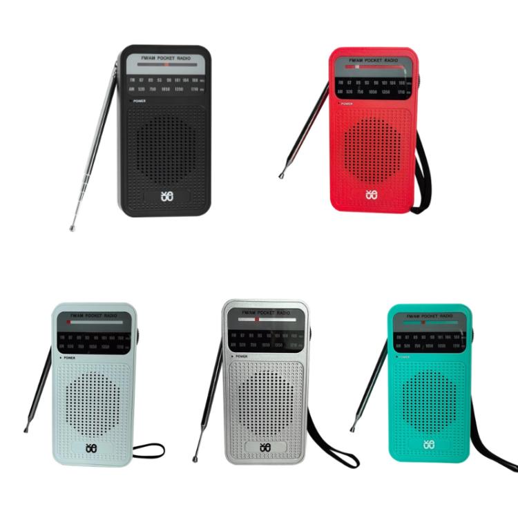 Radio portable à pointeur AM/FM à canal complet
