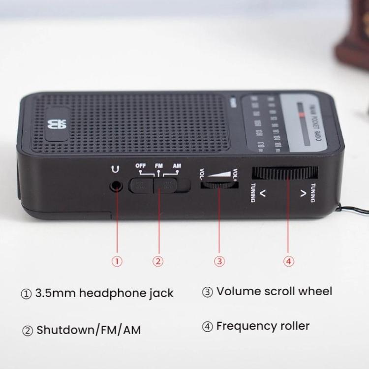 Radio portable à pointeur AM/FM à canal complet