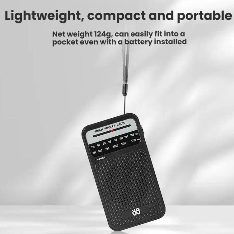Radio portable à pointeur AM/FM à canal complet