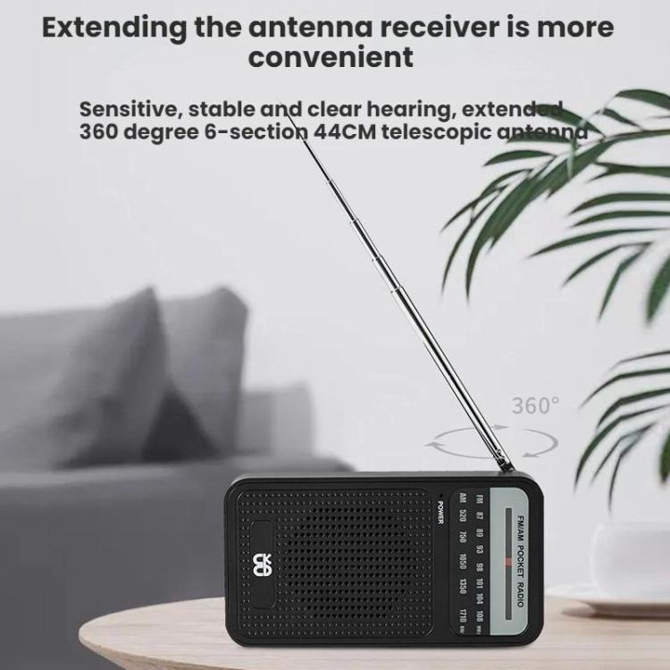 Radio portable à pointeur AM/FM à canal complet
