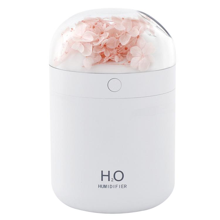 Humidificateur de fleurs WT18 USB de bureau, chambre à coucher, atomiseur hydratant