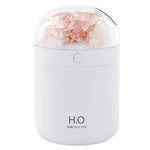 Humidificateur de fleurs WT18 USB de bureau, chambre à coucher, atomiseur hydratant