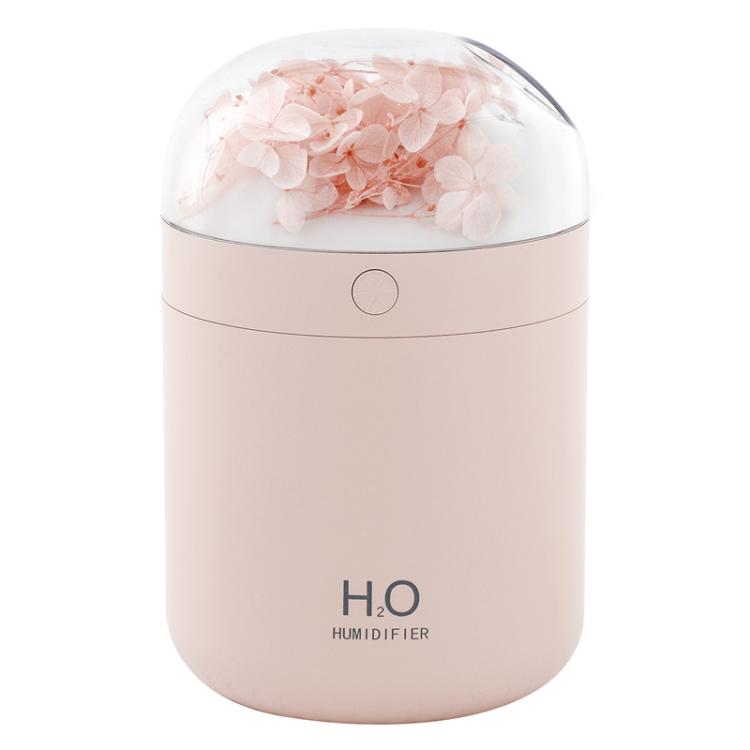 Humidificateur de fleurs WT18 USB de bureau, chambre à coucher, atomiseur hydratant