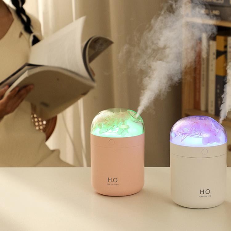Humidificateur de fleurs WT18 USB de bureau, chambre à coucher, atomiseur hydratant