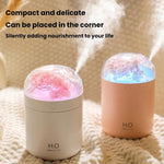 Humidificateur de fleurs WT18 USB de bureau, chambre à coucher, atomiseur hydratant