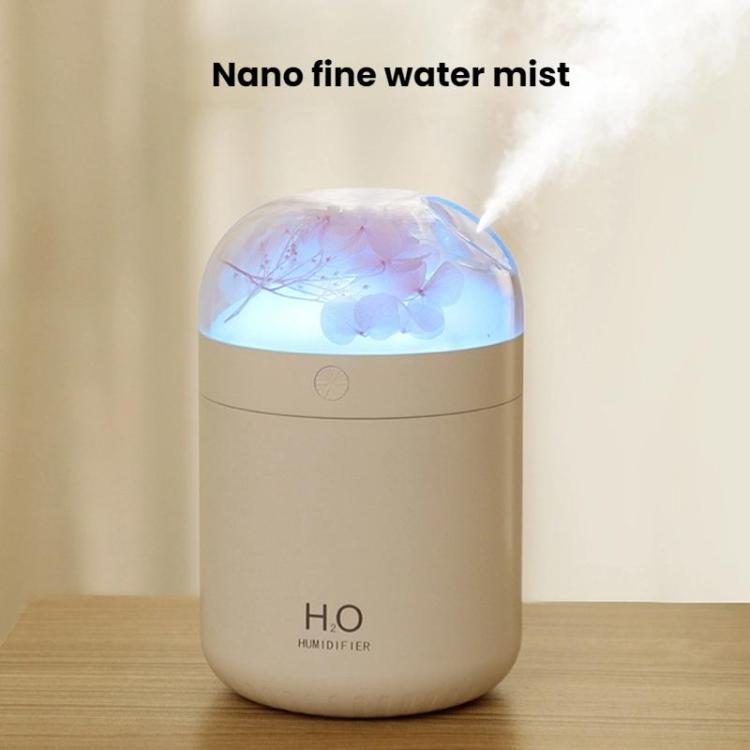 Humidificateur de fleurs WT18 USB de bureau, chambre à coucher, atomiseur hydratant