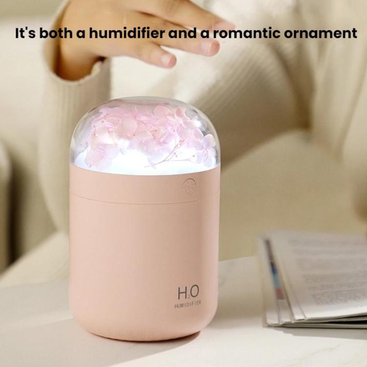 Humidificateur de fleurs WT18 USB de bureau, chambre à coucher, atomiseur hydratant
