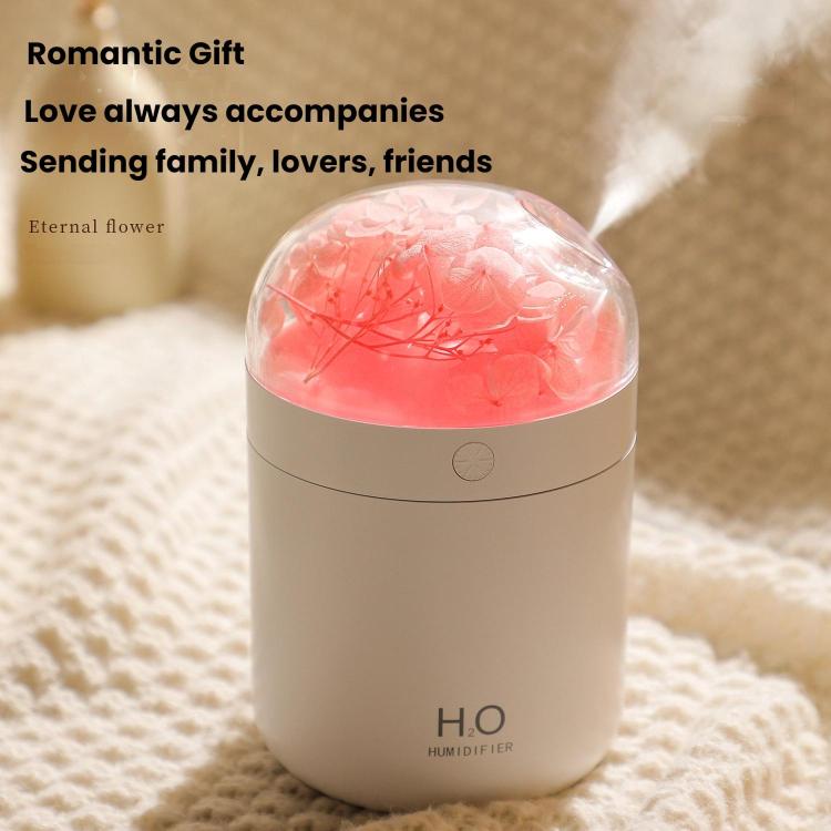 Humidificateur de fleurs WT18 USB de bureau, chambre à coucher, atomiseur hydratant