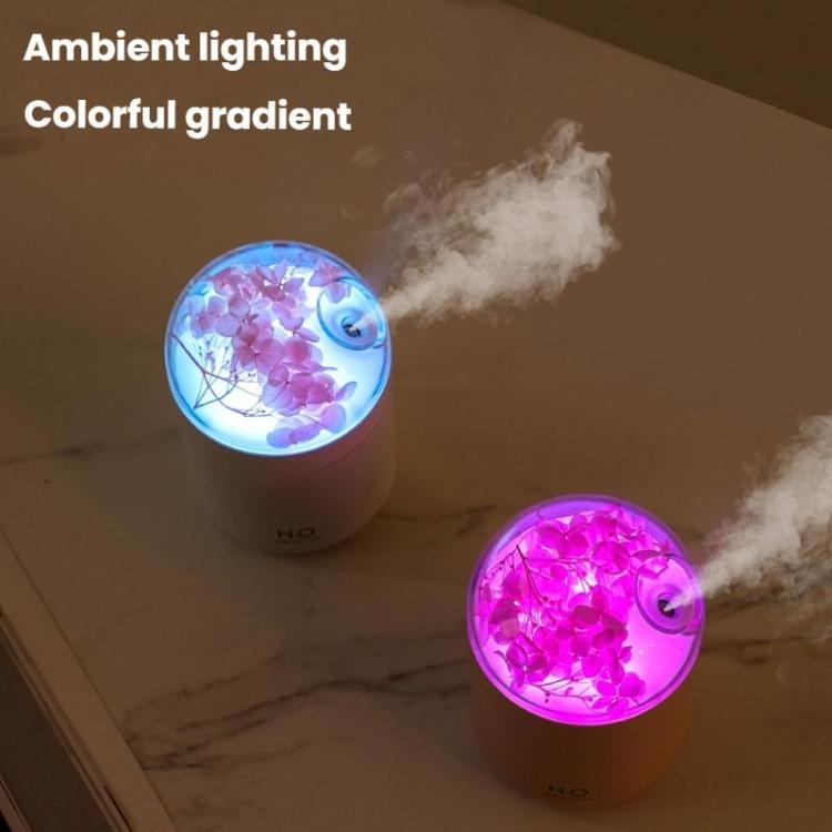 Humidificateur de fleurs WT18 USB de bureau, chambre à coucher, atomiseur hydratant