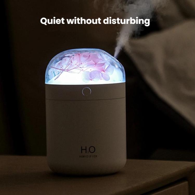 Humidificateur de fleurs WT18 USB de bureau, chambre à coucher, atomiseur hydratant