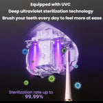 Stérilisateur de brosse à dents portable rechargeable USB avec stérilisation UV