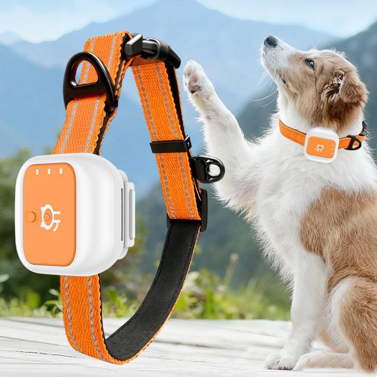 Collier électronique d'alerte SOS avec localisation GPS/Wi-Fi en temps réel pour animaux de compagnie, clôture électronique, signal de détresse et de détresse.