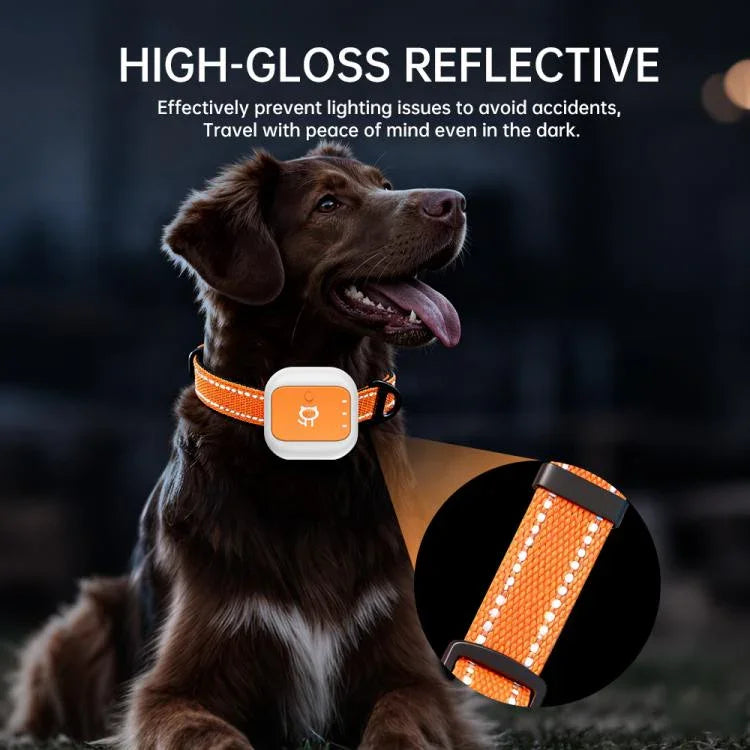 Collier électronique d'alerte SOS avec localisation GPS/Wi-Fi en temps réel pour animaux de compagnie, clôture électronique, signal de détresse et de détresse.