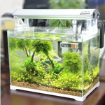 Thermomètre Électronique Numérique 3D LCD Multifonction pour Aquarium