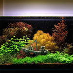 Bateau Pirate Bateau Pourri Petit Bateau Filet Paysage Aquarium Cylindre en Verre pour Aquarium, Bateau Pirate