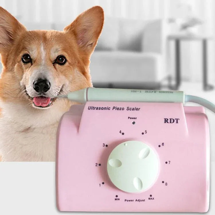 ペット犬用超音波歯石除去機、CNプラグ、USプラグ、UKプラグ、EUプラグ