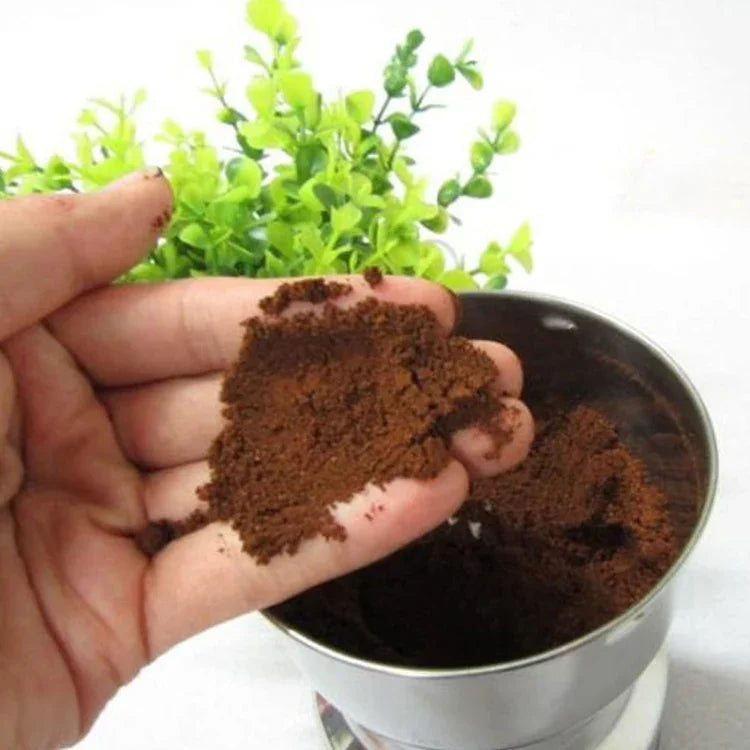 Moulin à café multifonctionnel avec prise UE, en acier inoxydable, pour herbes/épices/noix/grains/grains de café, moulin à café, prise UE