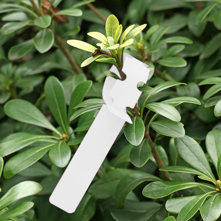 100 étiquettes suspendues pour plantes, semis et jeunes plants, étiquettes de couleur jaune, verte, bleue, rouge, blanche, rose