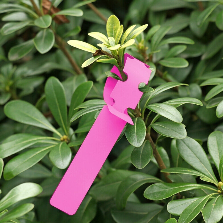 100 étiquettes suspendues pour plantes, semis et jeunes plants, étiquettes de couleur jaune, verte, bleue, rouge, blanche, rose