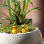 5 pièces accessoires mini maison de poupée canard jaune en résine décoration végétale en 3D, décoration végétale canard jaune