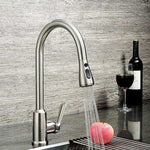 Interrupteur à bouton-poussoir de cuisine, Pulvérisateur à buse économe en eau, Filtre, CP plaqué, BN brossé