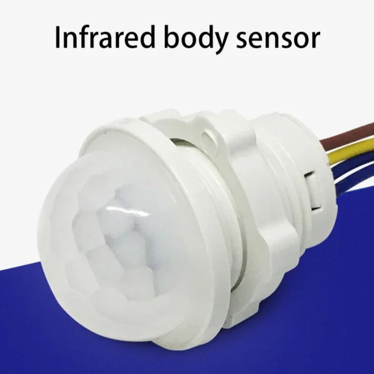 Capteur de mouvement infrarouge intérieur/extérieur avec temporisation, interrupteur PIR, lampe de nuit LED sensible, 220 V CA