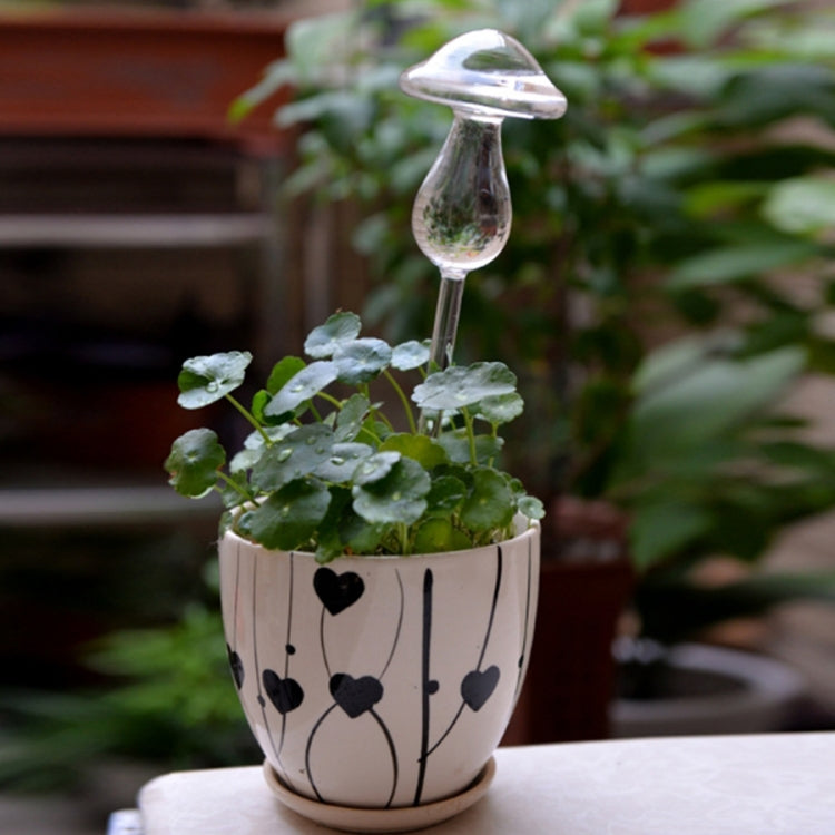 Distributeur d'eau automatique en verre transparent en forme de champignon pour plantes et fleurs en pot