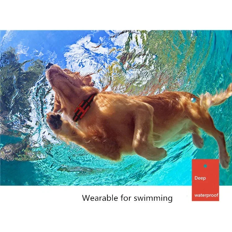 Collier anti-aboiements pour chien avec télécommande et choc électrique, étanche, portée 500 m