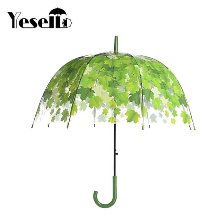 Parapluie transparent feuille verte à tige droite et tordue