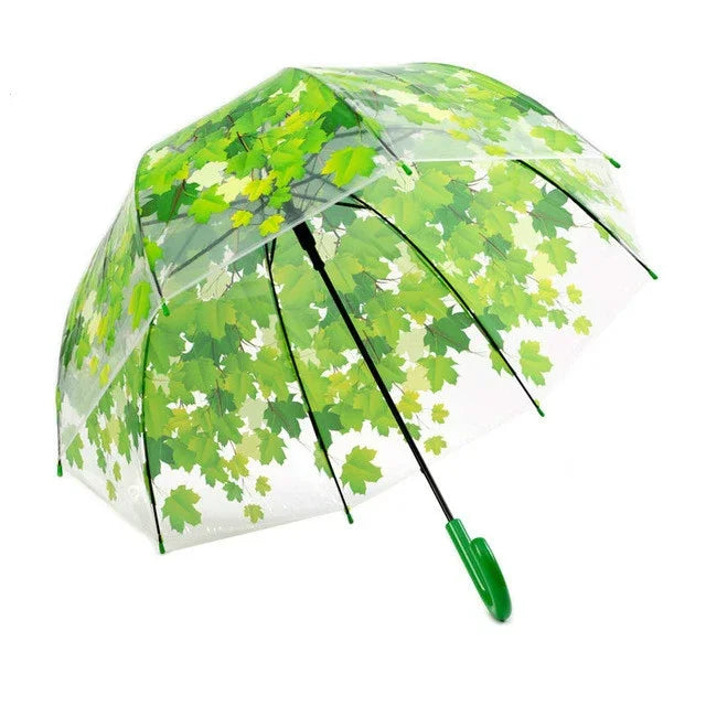 Parapluie transparent feuille verte à tige droite et tordue